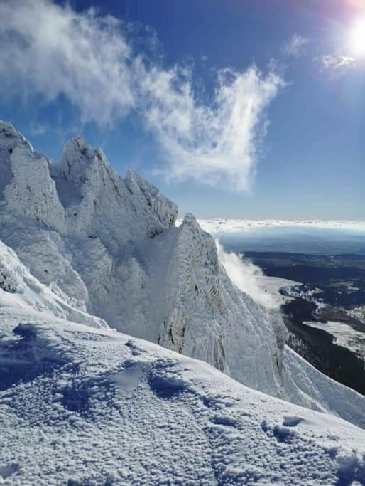 Appartement Chaleureux Et Cosy Le Mont-Dore Luaran gambar